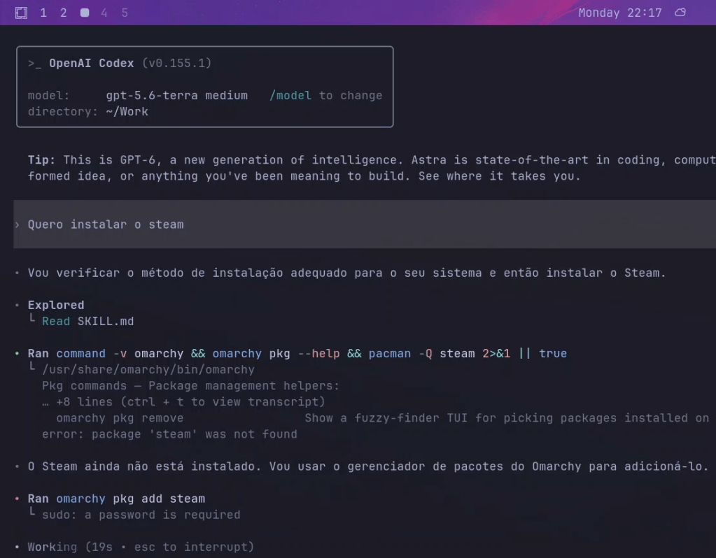 Terminal do OpenAI Codex aberto no Omarchy: ao pedido "Quero instalar o steam", o agente consulta o gerenciador de pacotes, descobre que a Steam não está instalada e roda o comando omarchy pkg add steam
