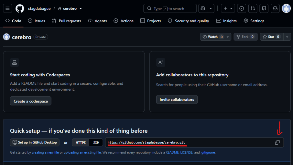 Repositório privado recém-criado no GitHub, com o link HTTPS do repositório para copiar